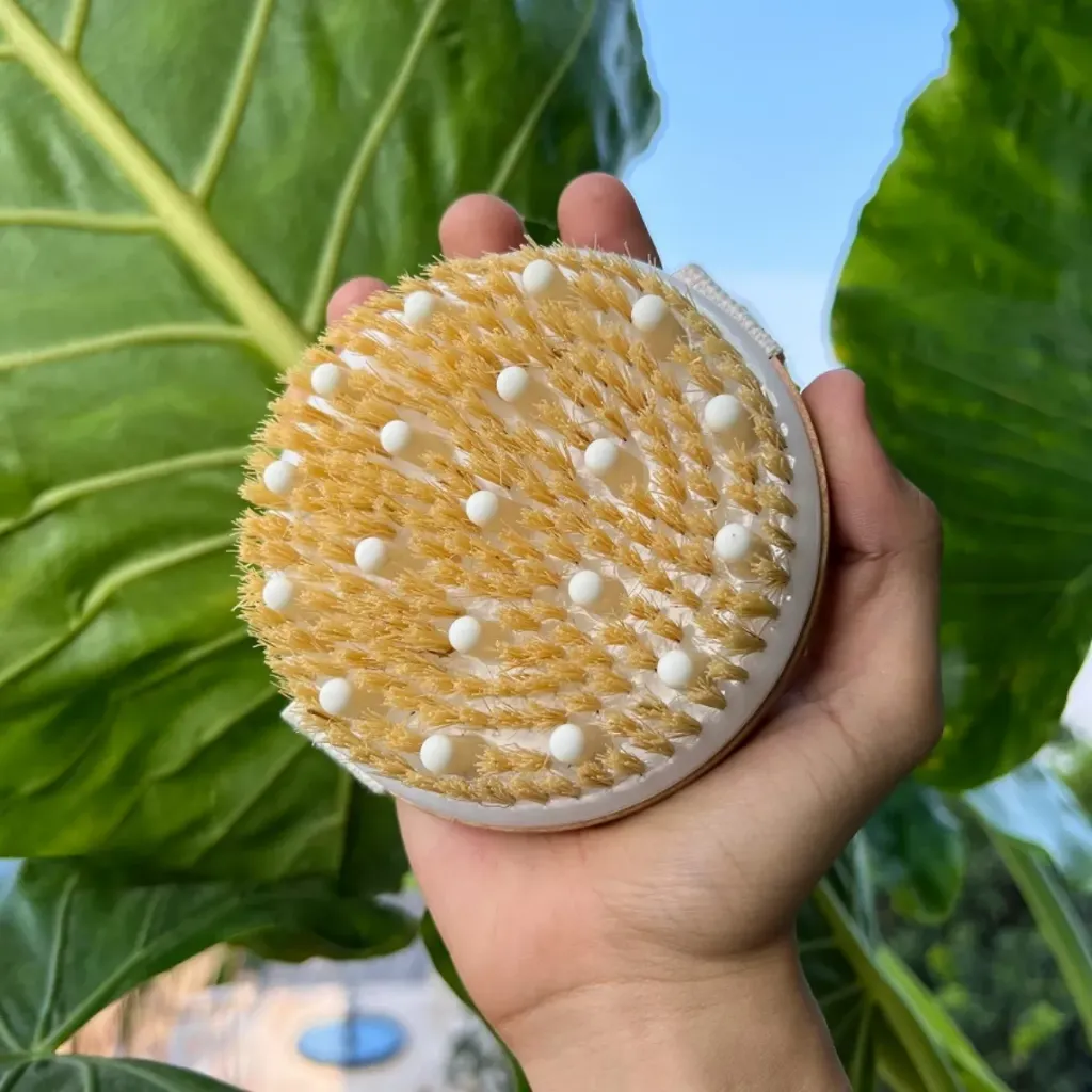 [CEPEXF] Cepillo Exfoliante / Maseajeador